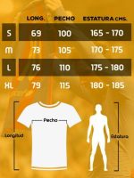 CAMISETA DESPEDIDA MARADONA